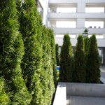 Mieszkanie Warszawa sprzedaż