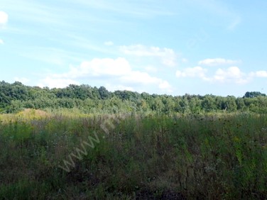 Działka budowlana Rusiec