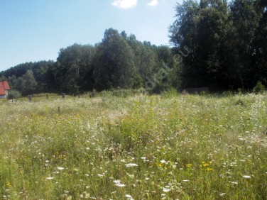 Działka budowlana Strzeniówka