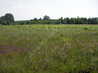 Działka budowlana Strzeniówka