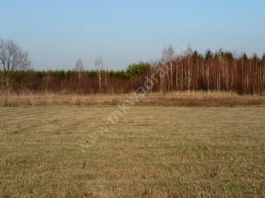 Działka budowlana Rusiec sprzedam