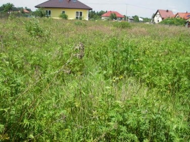 Działka budowlana Rusiec