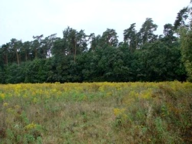 Działka budowlana Puszczykowo