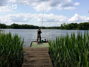 wędka - Środa Wielkopolska - sprawdź kategorię Wędkarstwo