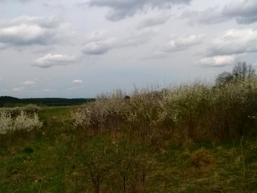 Działka budowlano-rolna Suliszowice