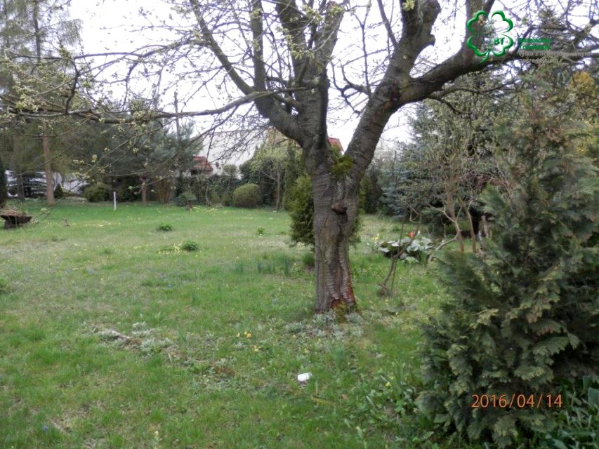 Działka budowlana Poznań