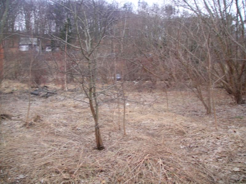 Działka inwestycyjna Gdańsk