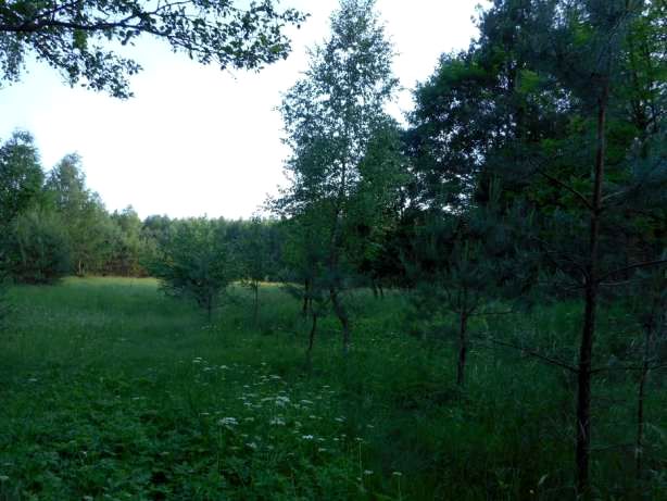 Działka rekreacyjna Szczytno