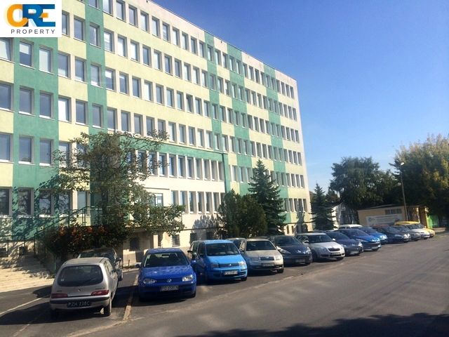 Lokal Poznań wynajem