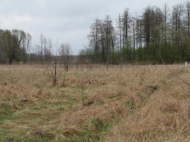 Działka budowlana Białystok