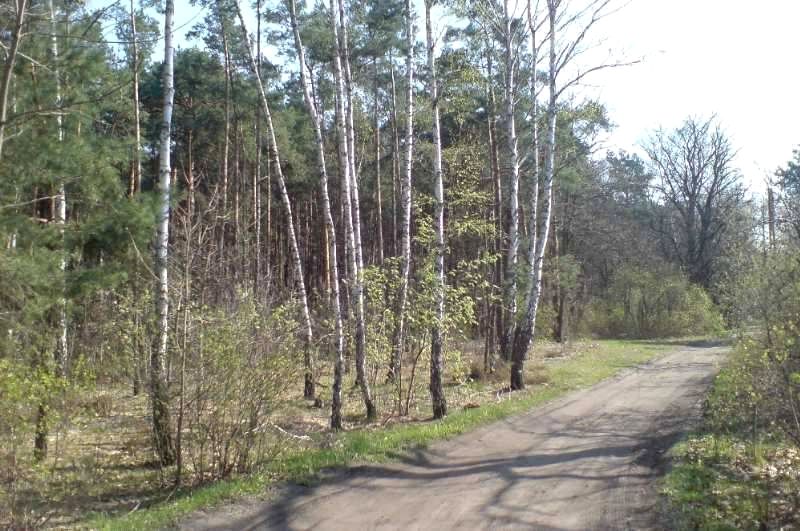 Działka budowlana Warszawa