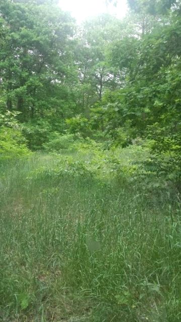 Działka budowlana Warszawa