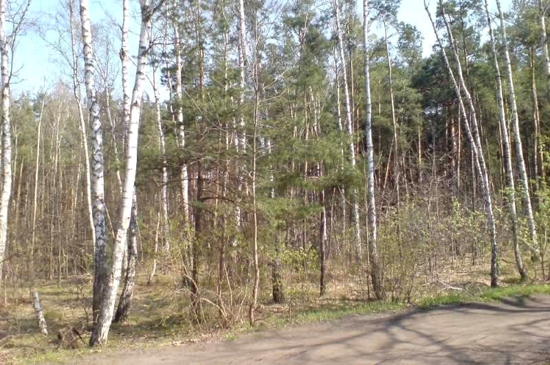 Działka budowlana Warszawa