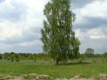 Działka budowlana Grodzisk Mazowiecki