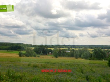 Działka budowlano-rolna Strzelęcino sprzedam