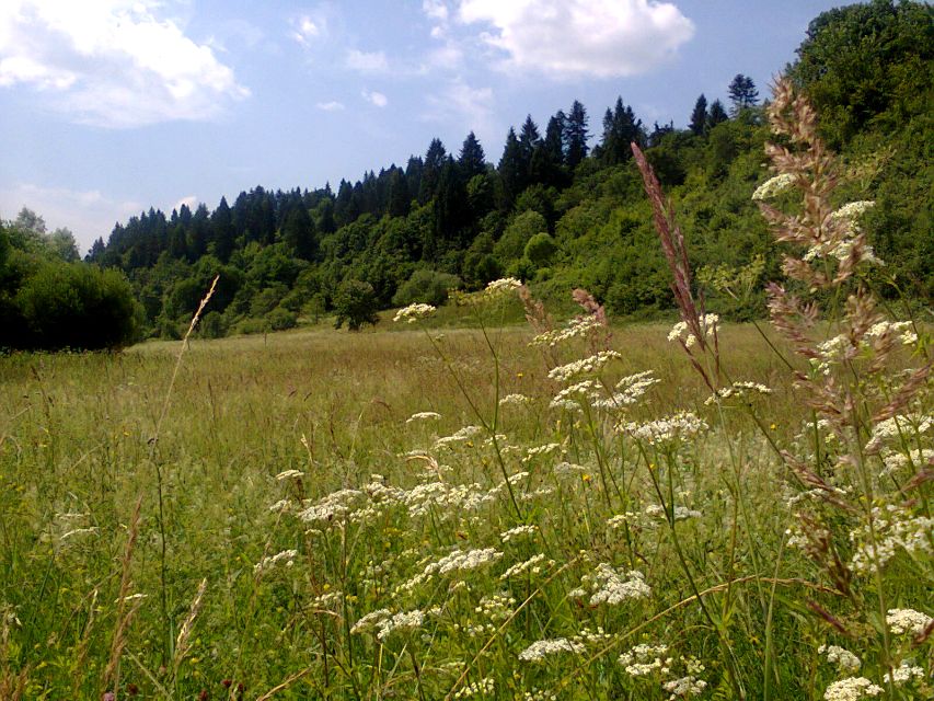 Działka budowlana Krościenko