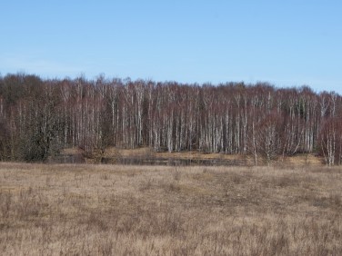 Działka budowlano-rolna Dalęcinko