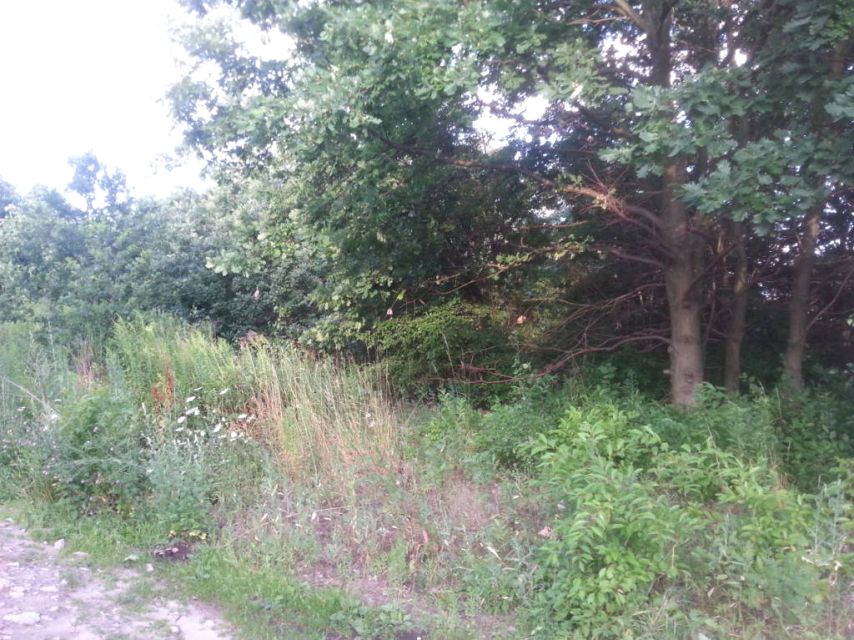 Działka budowlana Warszawa