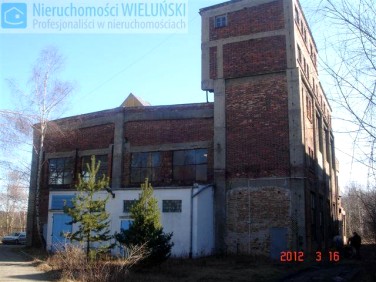 Lokal Wilków