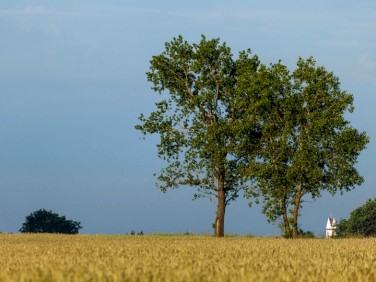 Działka Górki