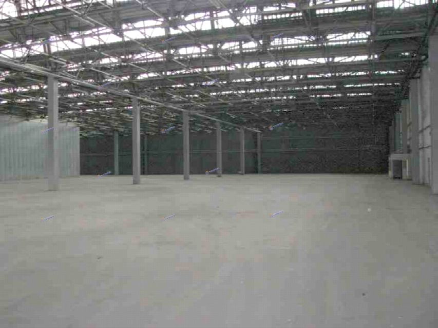 Budynek użytkowy Warszawa wynajem