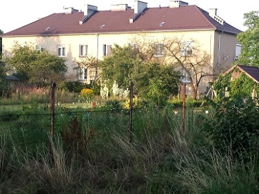 Mieszkanie Dobroszyce