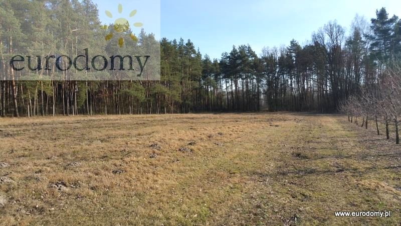 Działka rolna Las Lesznowolski