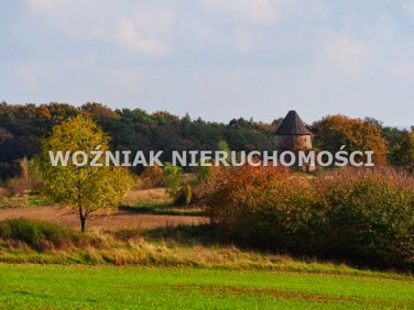 Budynek użytkowy Pietrzyków