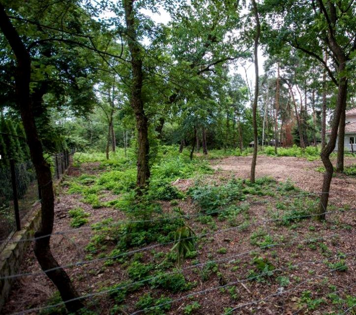 Działka budowlana Warszawa