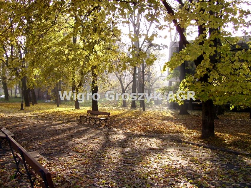 Mieszkanie blok mieszkalny wynajem