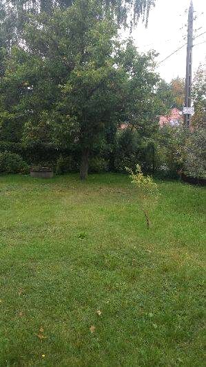 Działka budowlana Warszawa