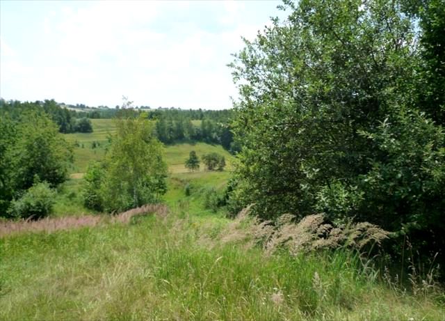 Działka Smroków