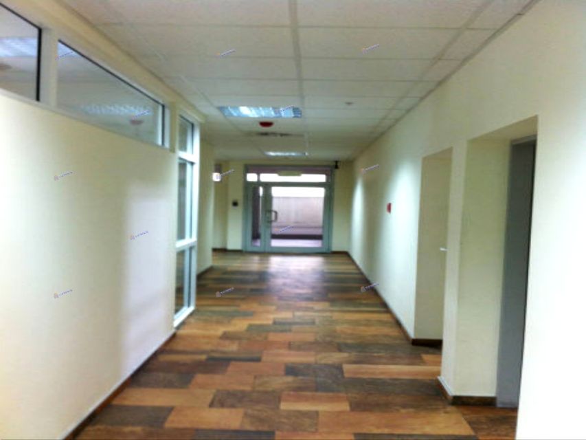 Lokal Warszawa