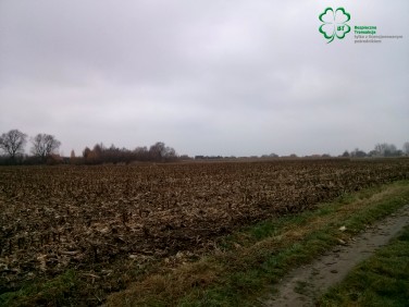 Działka rolna Tarnowo Podgórne