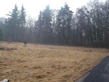 Działka budowlana Oleśnica sprzedam