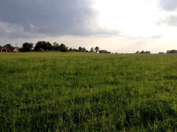 Działka rolna Kisielów