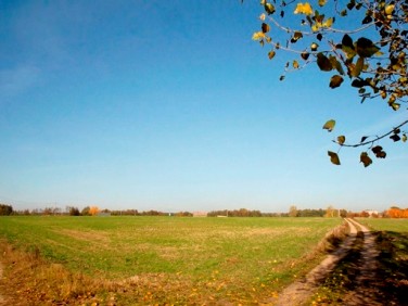 Działka nad jeziorem