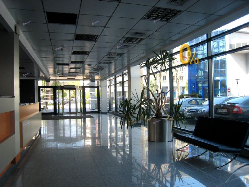 Lokal Warszawa