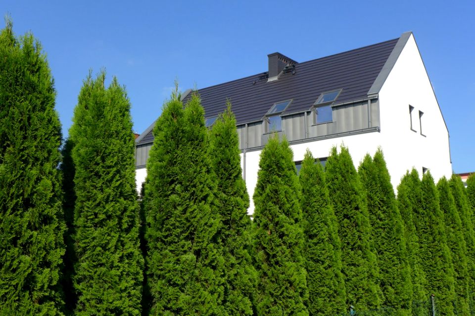 Mieszkanie apartamentowiec sprzedaż