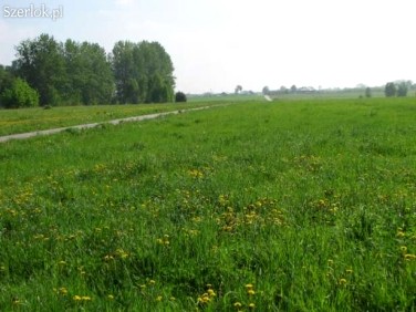 Działka budowlana Bednary-Wieś