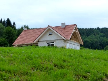 Dom Zagórze Śląskie