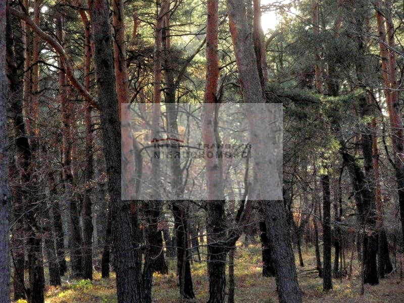 Działka budowlana Warszawa