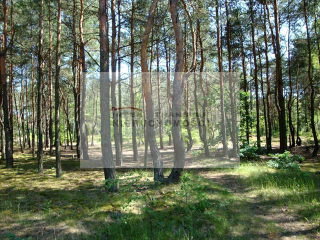 Działka budowlana Warszawa