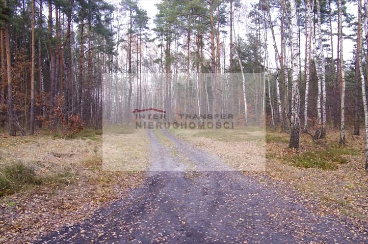 Działka leśna Warszawa