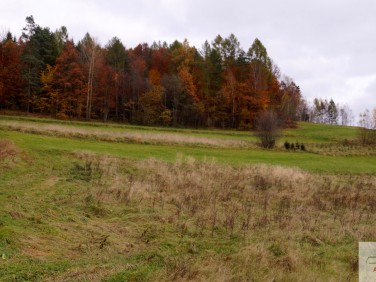 Działka budowlana Tokarnia