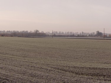 Działka budowlana Malbork sprzedam