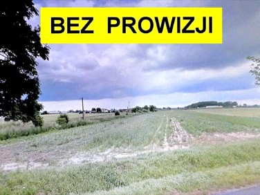 Działka budowlano-rolna Cedrowice