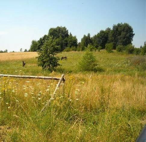 Działka rolna Poznań