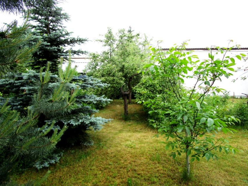 Działka budowlana Poznań