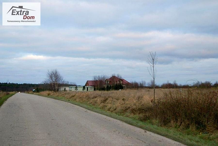 Zdjęcie 3